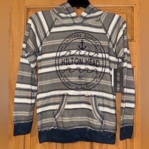 Vintage Havana Blue and Gray Striped Sweatshirt